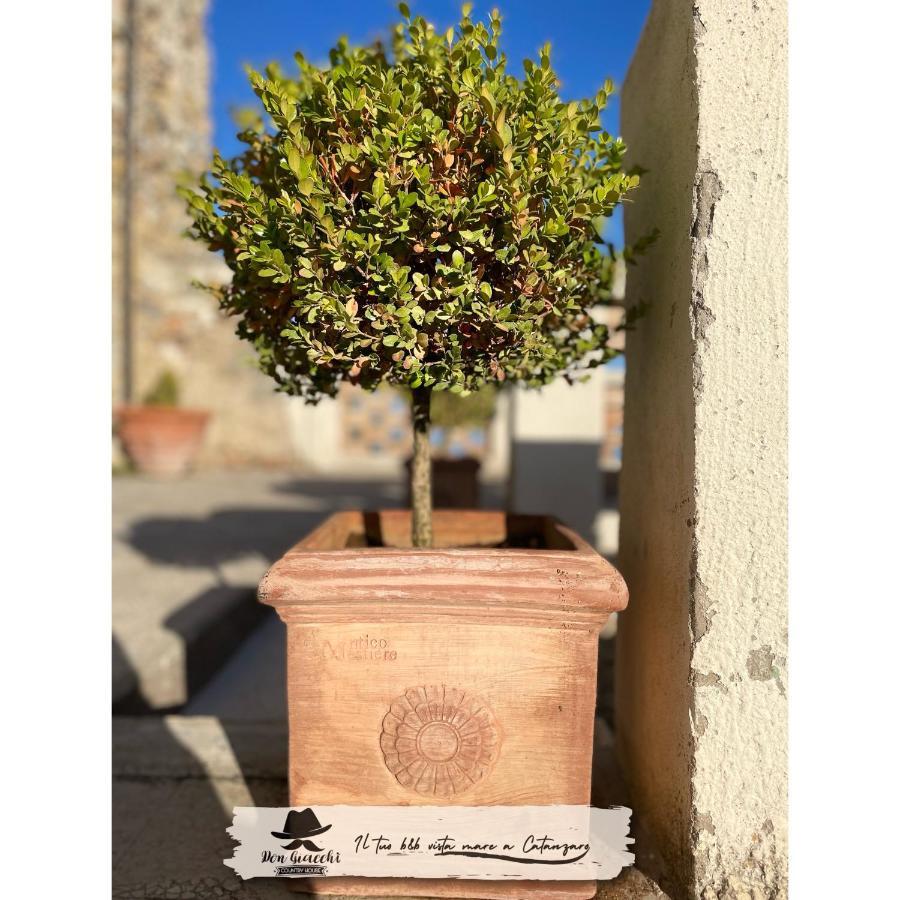 Don Giacchi Country House Catanzaro Buitenkant foto