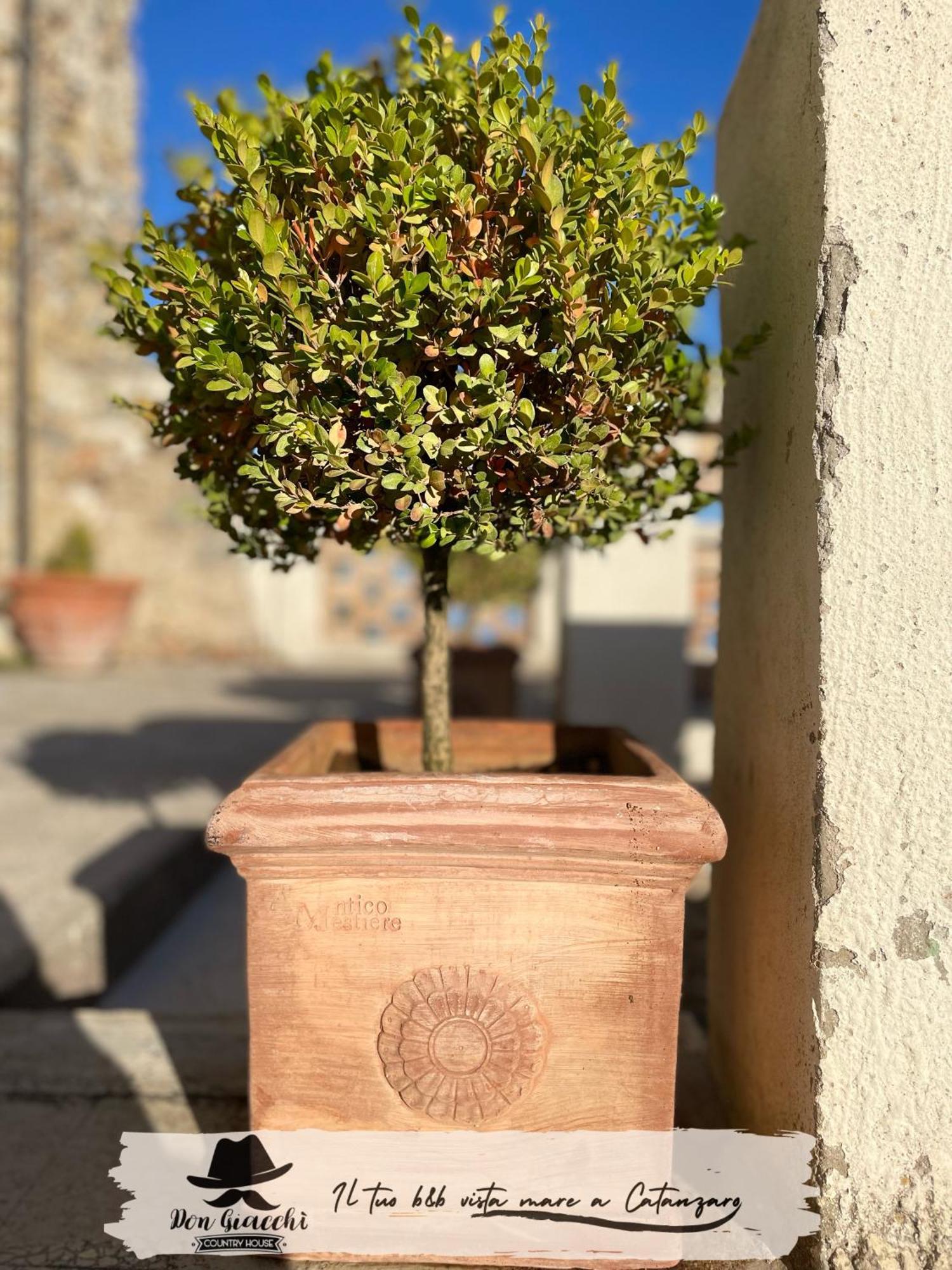 Don Giacchi Country House Catanzaro Buitenkant foto